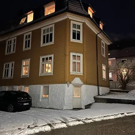 Naerhet Til Og Sentrum Апартаменти