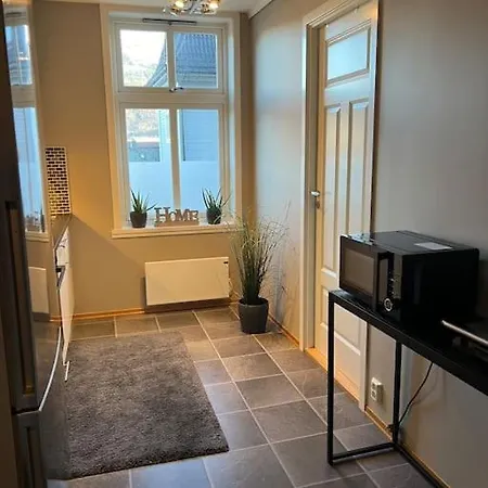 公寓 Naerhet Til Og Sentrum *